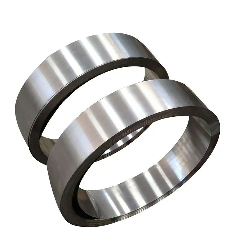 Industrial Grade Nickel 201 Strip for Chemical Equipment and Heat Treatment Applications