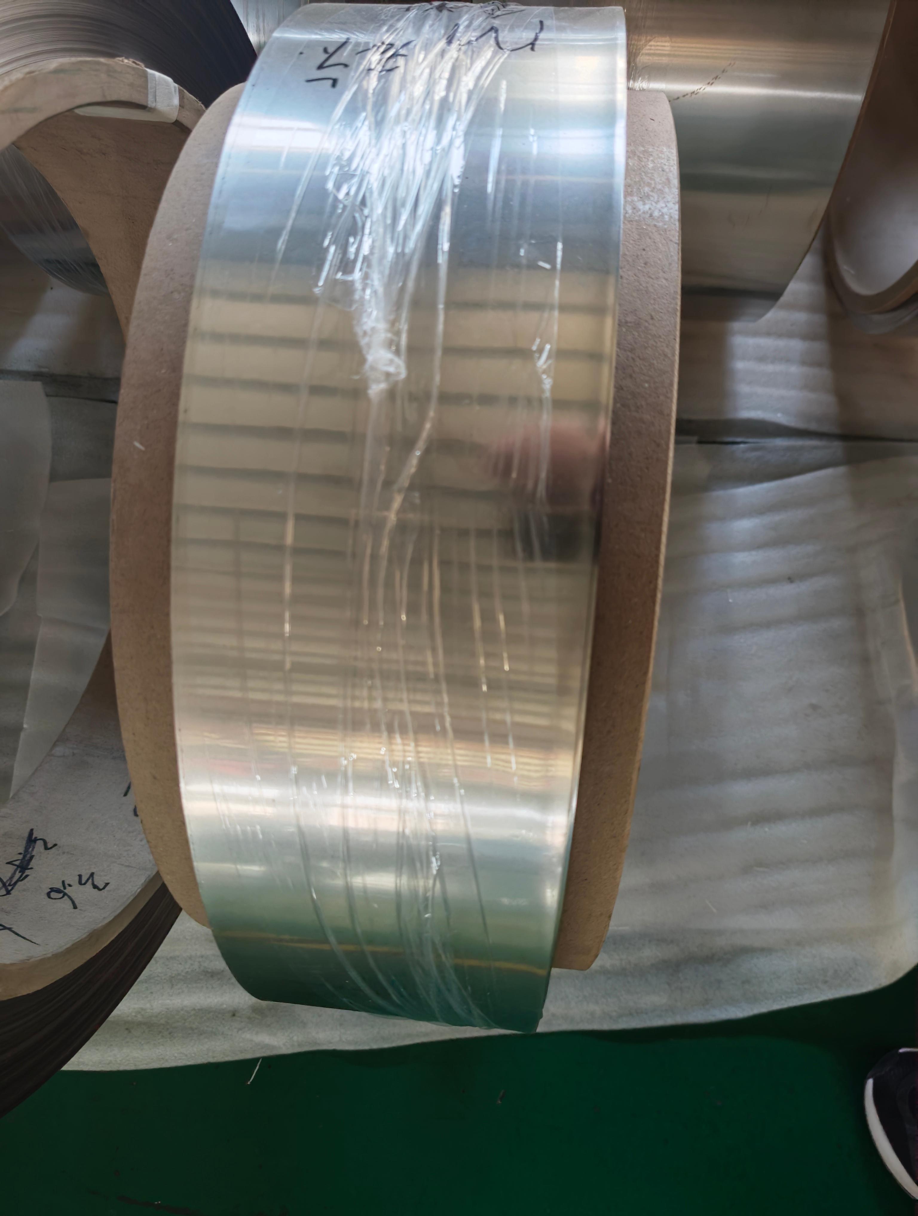 Corrosion Resistant Pure Nickel Strip for Alkaline Electrolysis and Chemical Processing Industry